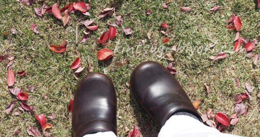 落ち葉とダンスコの靴